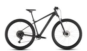 MTB Techniktraining für Anfänger